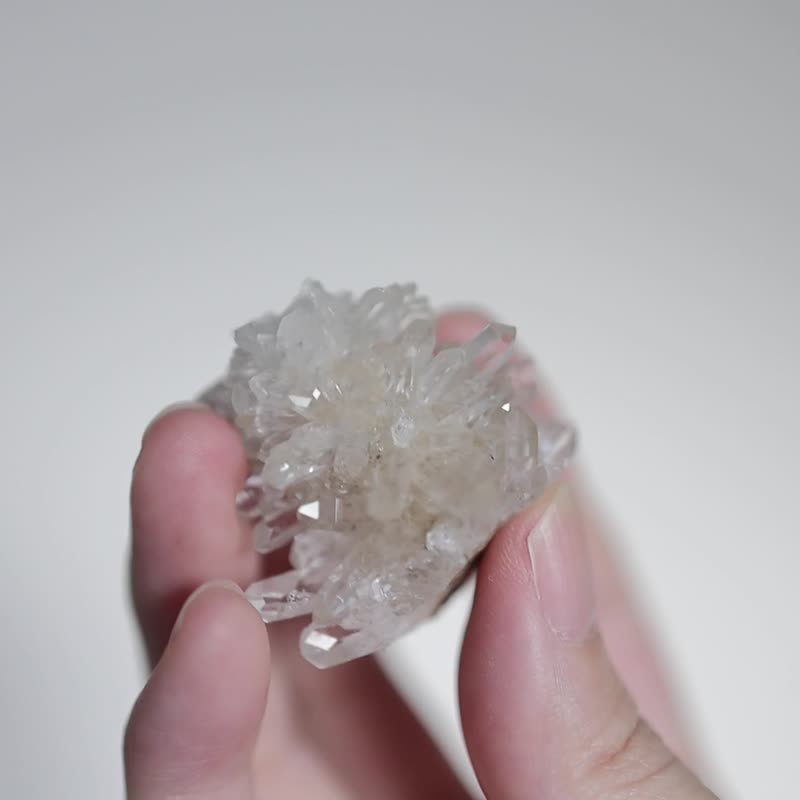 白菊花晶簇 Quartz Crystal Cluster no.2 - 摆饰 - 水晶 透明