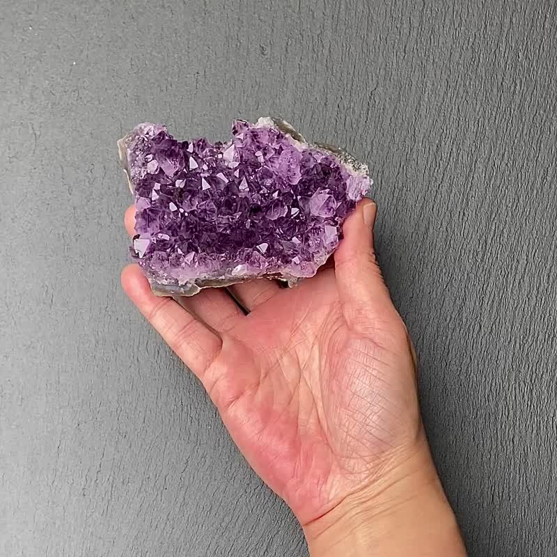 招财开运-天然原皮原矿紫晶簇共生黑碧玺 消磁净化 快速出货 - 摆饰 - 水晶 紫色