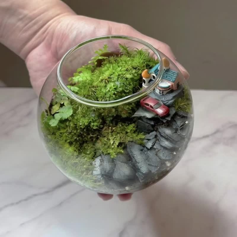 绿野香坡 / 主题性定制化造景生态盆 - 植栽/盆栽 - 植物．花 