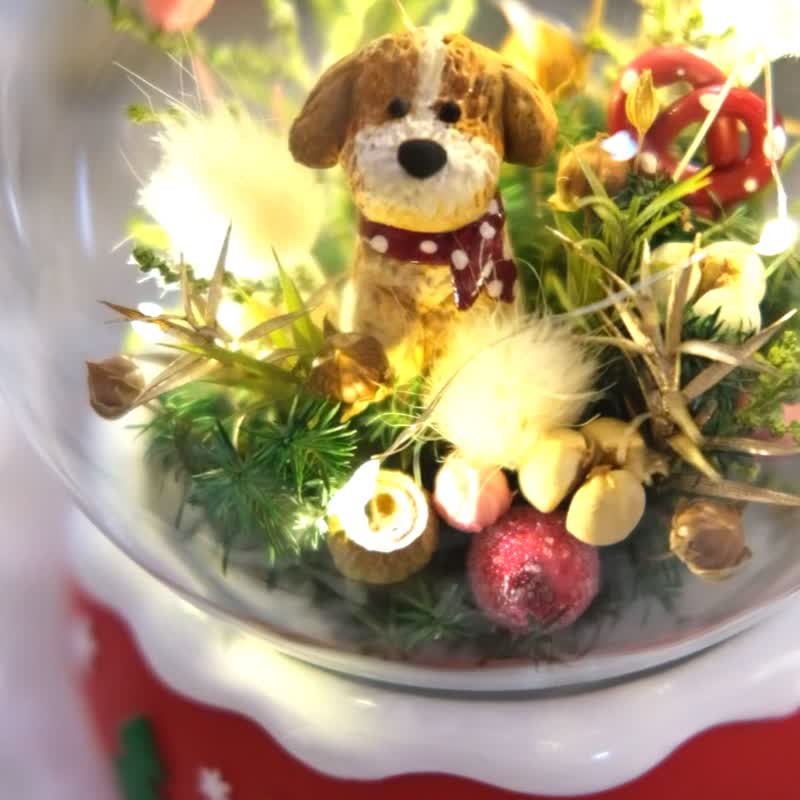 圣诞狗狗灯串永生水晶球 附圣诞卡片 - 干燥花/捧花 - 植物．花 绿色