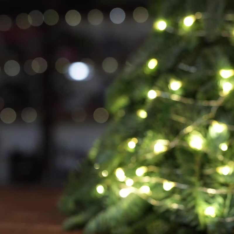 尖叫鸡 (可发声) DIY Kit (本地件以香港邮政寄出) - 木工/竹艺/纸艺 - 木头 多色