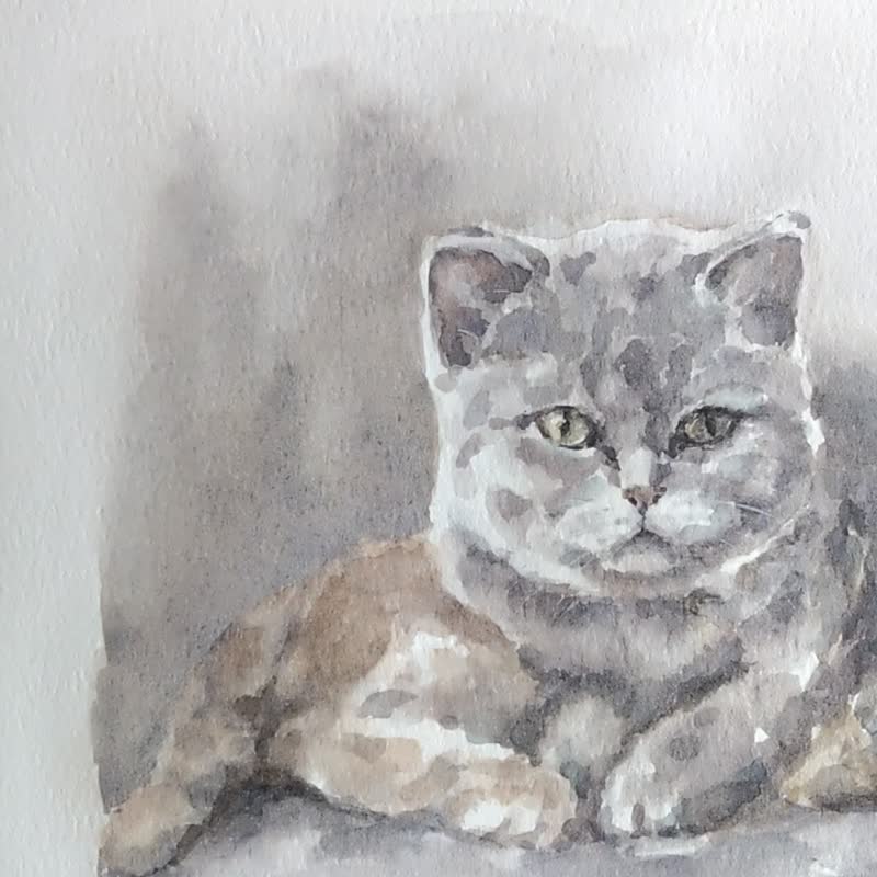 水彩猫咪似颜绘 宠物画 连框 - 订制画像 - 纸 白色