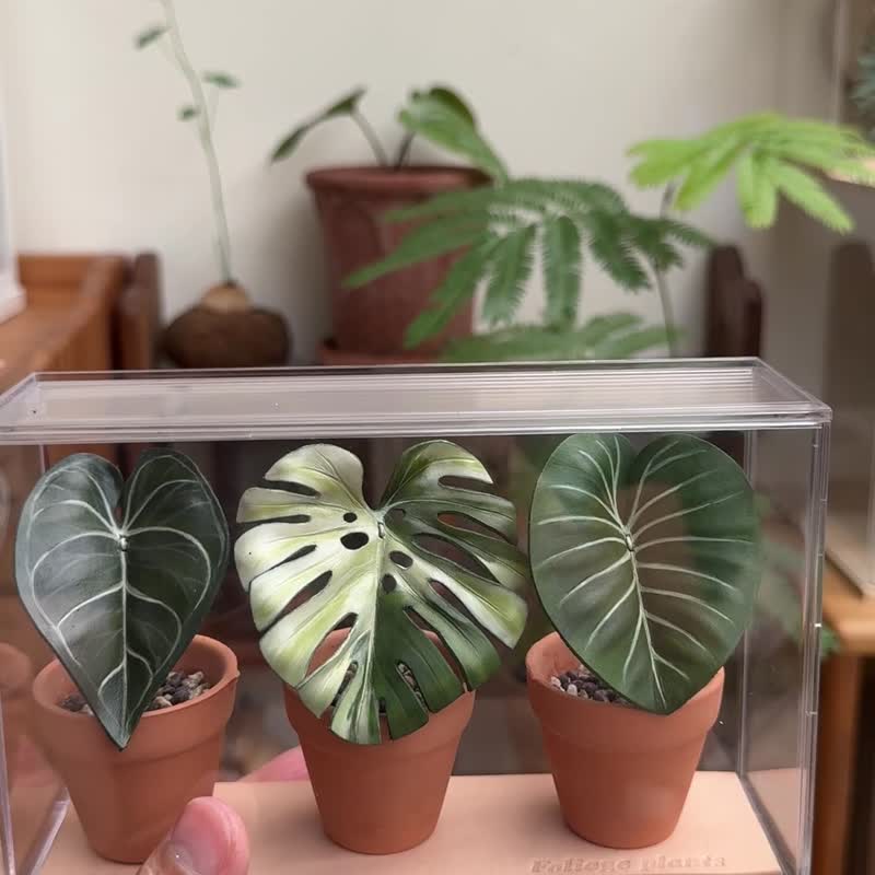 迷你观叶皮革小品(3品一组) - 植栽/盆栽 - 真皮 