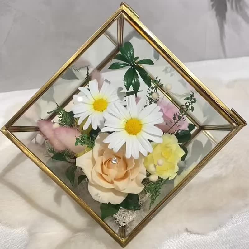 魔方 永生花 玛格丽特 开幕 新居落成 升迁 - 干燥花/捧花 - 植物．花 黄色