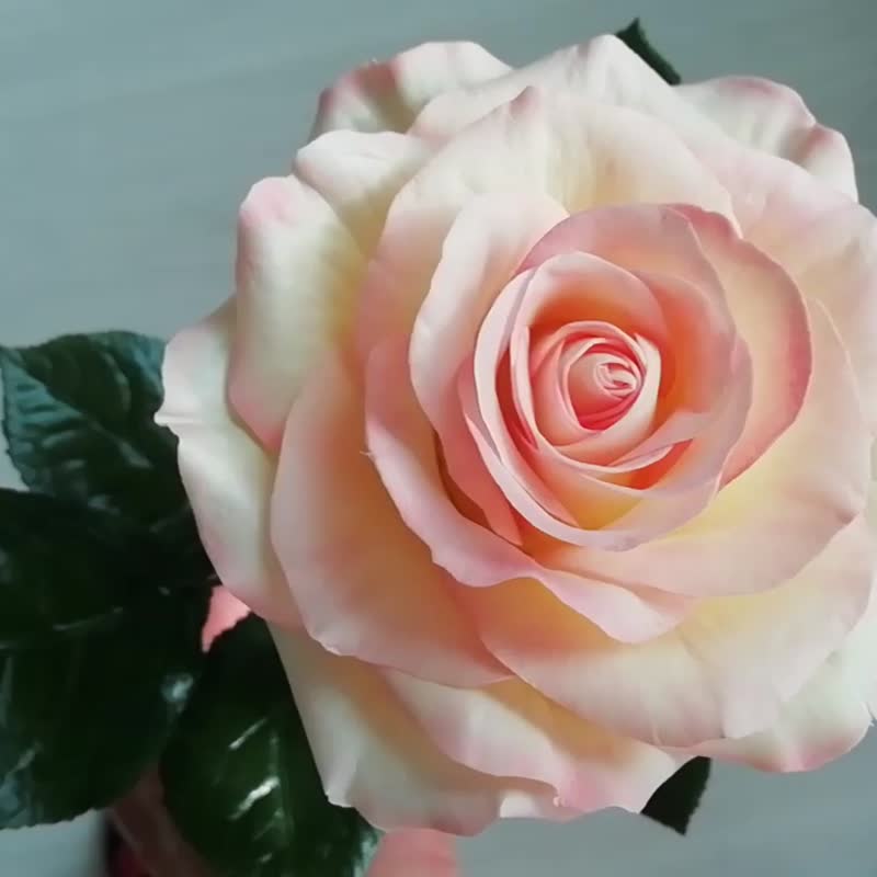 手工玫瑰花。单朵玫瑰花瓶。真正的触摸玫瑰。玫瑰花 - 摆饰 - 其他材质 粉红色