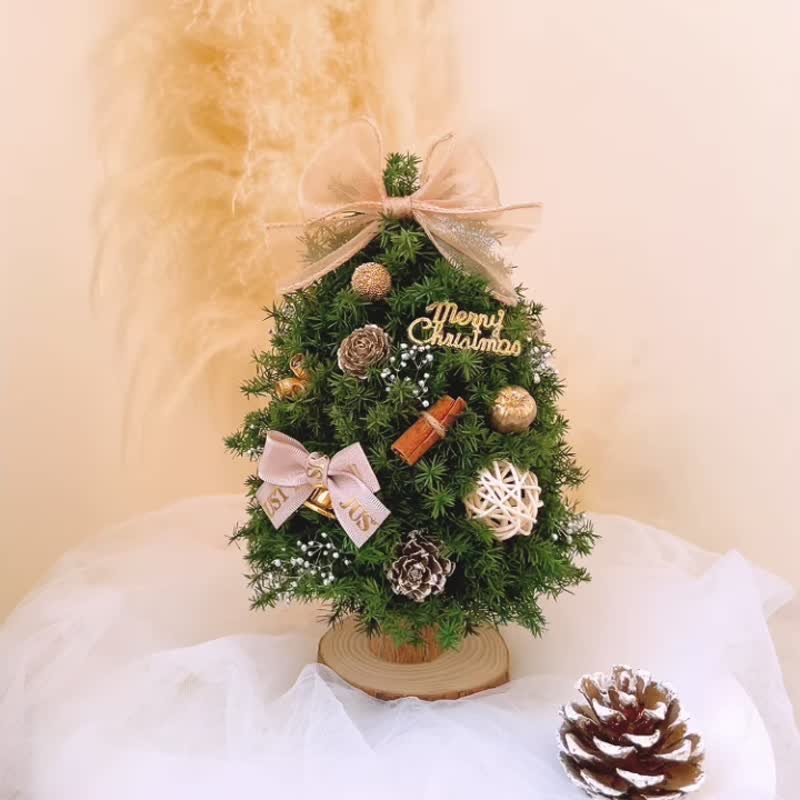 【永生雪松圣诞树】飘带款 l 附赠礼盒包装 小圣诞树 约高20cm - 干燥花/捧花 - 植物．花 绿色