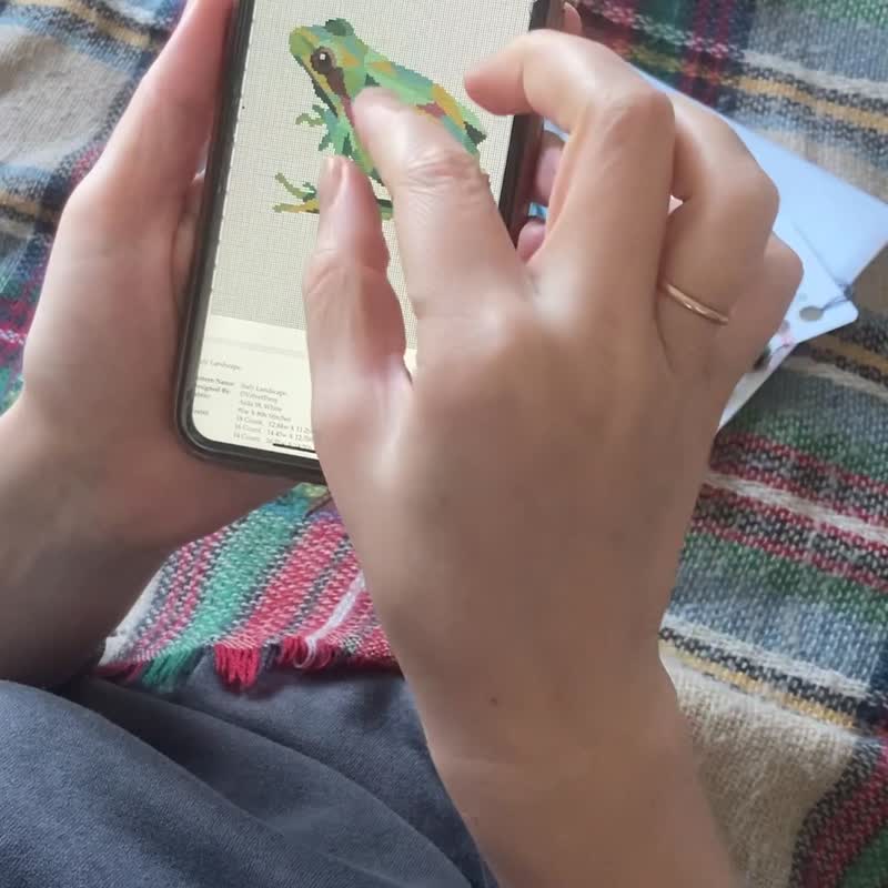 Frog Cross Stitch PDF Pattern | 十字繡圖案 - 手工艺教程/工具书 - 其他材质 