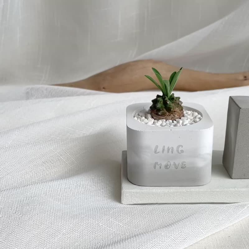 水泥植栽盆组合  |  开店礼 入厝礼 定制化礼物 - 植栽/盆栽 - 水泥 