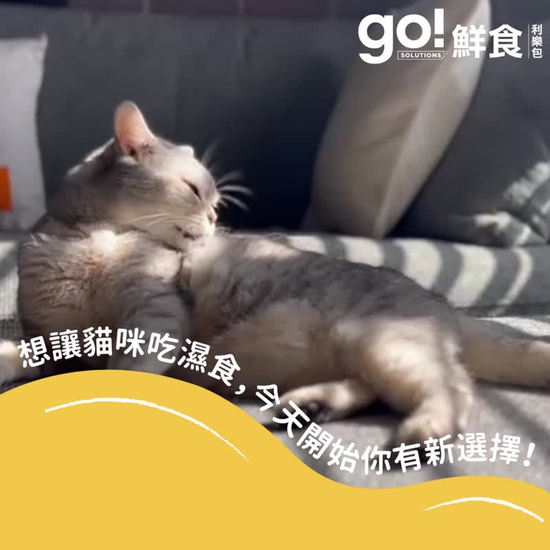 【猫主食罐】go! 无谷海洋鲑鳕丰酱 鲜食餐包 猫罐 皮毛保健 - 猫罐头/鲜食 - 新鲜食材 
