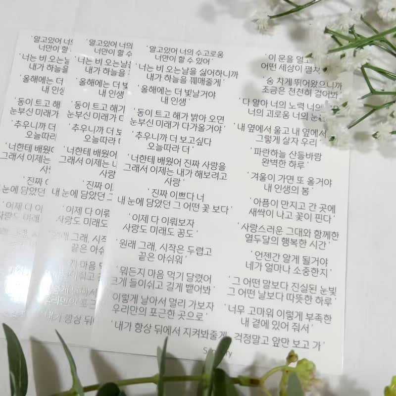 Sensiary 韩感疗愈系 烫金亮面透明贴纸 3入组 - 贴纸 - 纸 