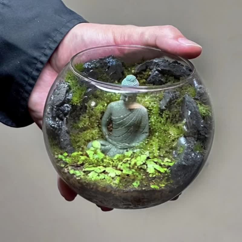 窟中之禅 / 主题性定制化造景生态缸 - 植栽/盆栽 - 植物．花 