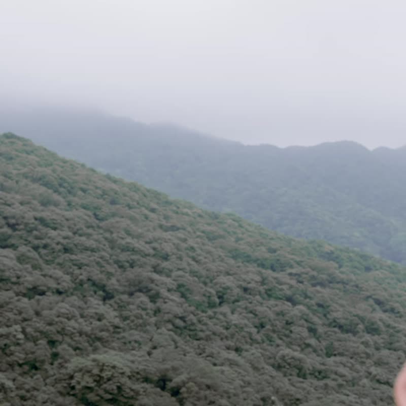 透气网孔弯檐帽 - 帽子 - 尼龙 黑色