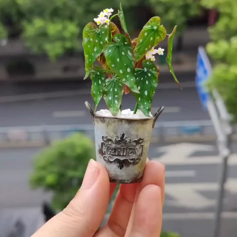 微縮黏土鱒魚秋海棠綠植盆栽 - 摆饰 - 粘土 绿色