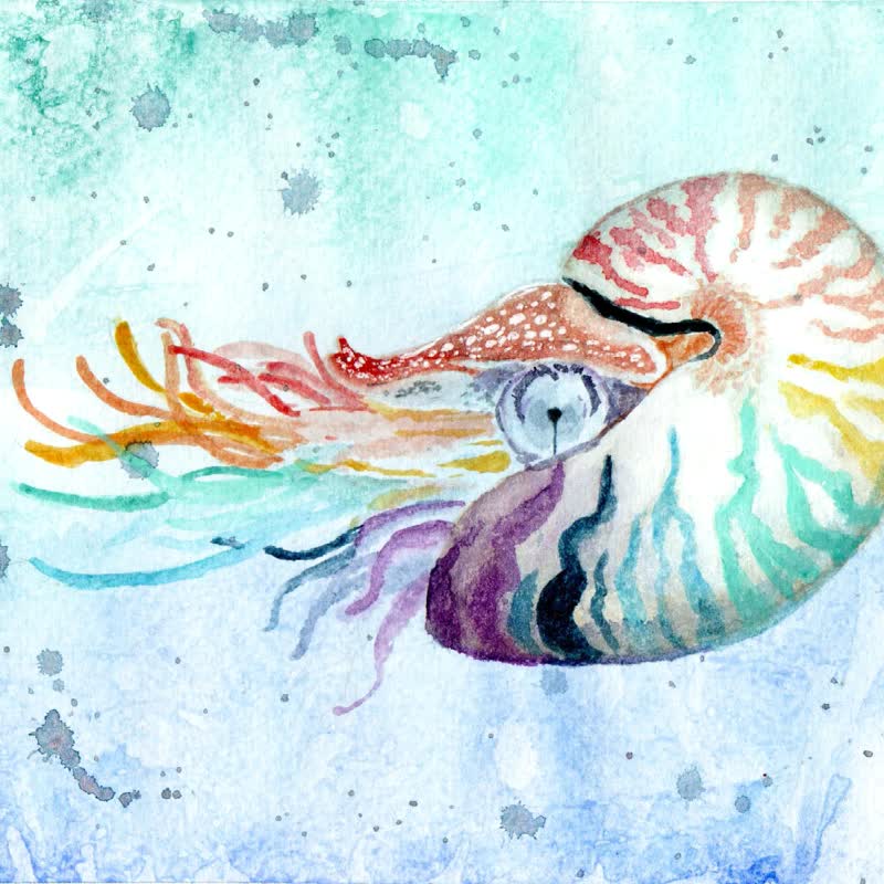 海洋系水彩在线体验课─梦幻海生 - 线上课程/教学影片 - 其他材质 