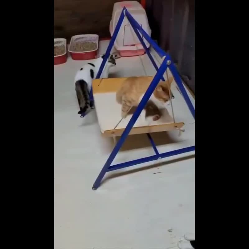 荡秋千 猫玩具 床垫 游戏床 给毛小孩最安全的家具 - 玩具 - 木头 