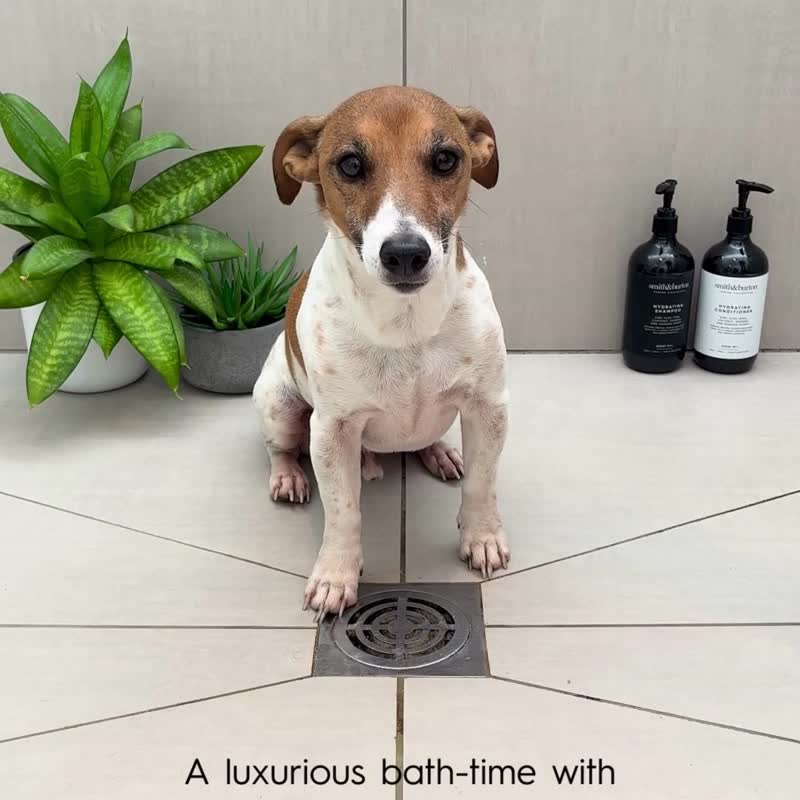 【smith&burton】幼犬柔护2合1洗毛精250ml(犬适用) - 清洁/美容 - 浓缩/萃取物 