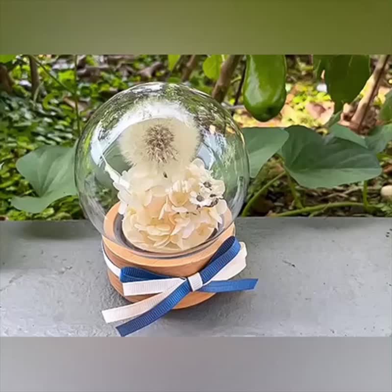 蒲公英圆舞曲 音乐盒 玻璃原木花盅 永生花 旋转八音盒 - 摆饰 - 植物．花 
