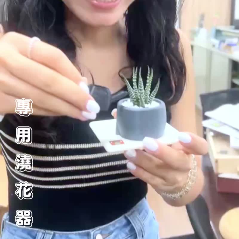 【疗愈桌上小物】【迷你浇花器】疗愈打印所 - 幸运草浇花器 - 植栽/盆栽 - 塑料 