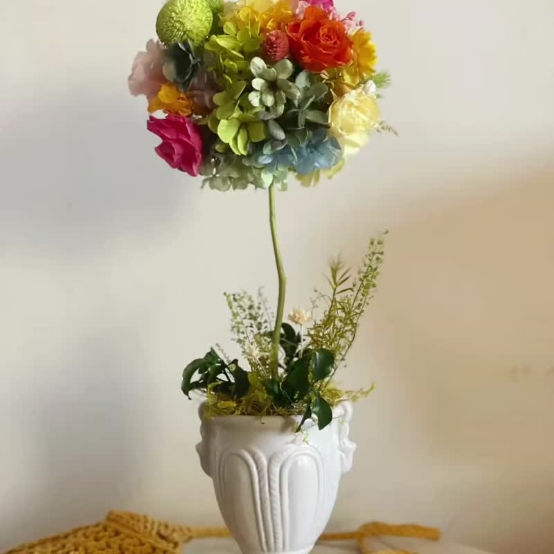【花诉花艺】糖果花球树 / 开幕花礼/迎宾花礼/升迁桌花/祝贺盆花 - 干燥花/捧花 - 植物．花 多色