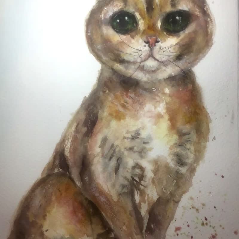 苏格兰折耳猫 水彩画 – 原创 28x38 厘米 宠物肖像，手绘猫咪 - 墙贴/壁贴 - 纸 咖啡色