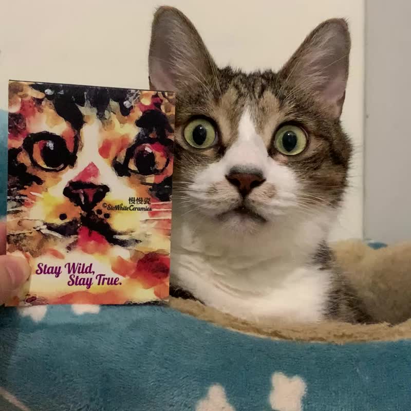 猫咪空白便条纸 - 便条纸/标签贴 - 纸 橘色