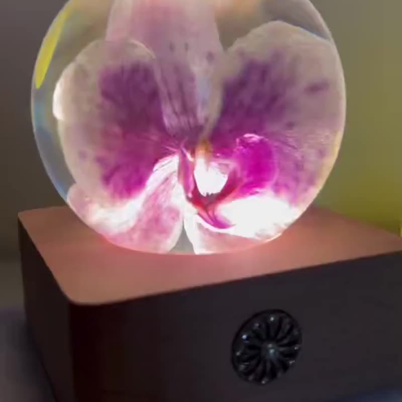 粉蝴蝶兰|幸福向你飞来 - 摆饰 - 树脂 粉红色