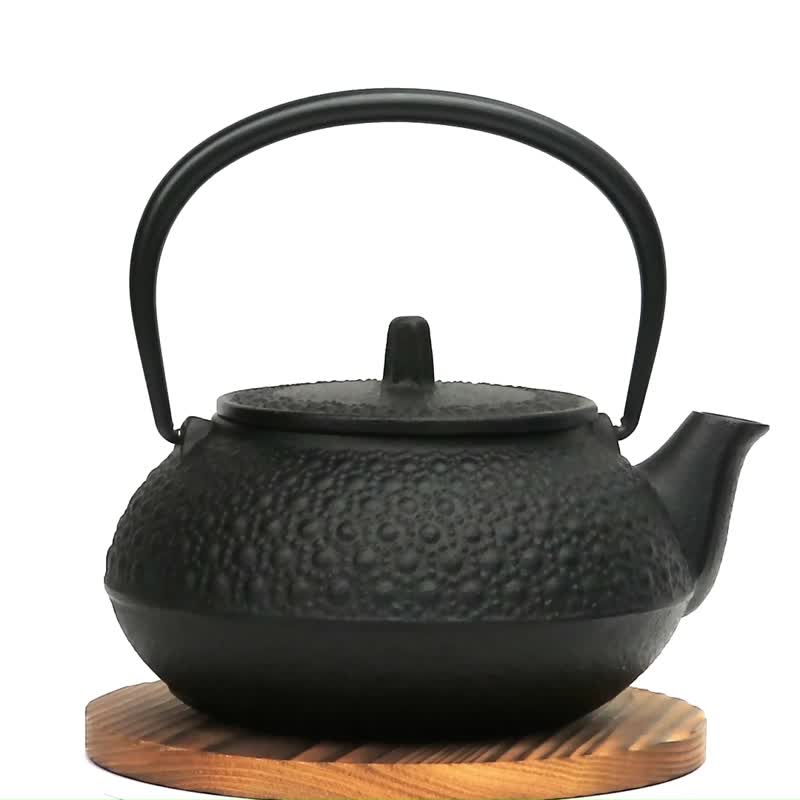 岩铸 南部铁器 铁瓶兼用急须 5 型新龟甲 0.65L 附茶滤 - 茶具/茶杯 - 其他金属 黑色