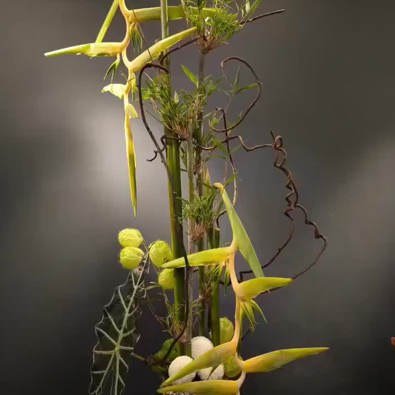 花艺色彩学及创作设计系列课程之花艺色彩学入门初阶课 - 植栽 - 植物．花 