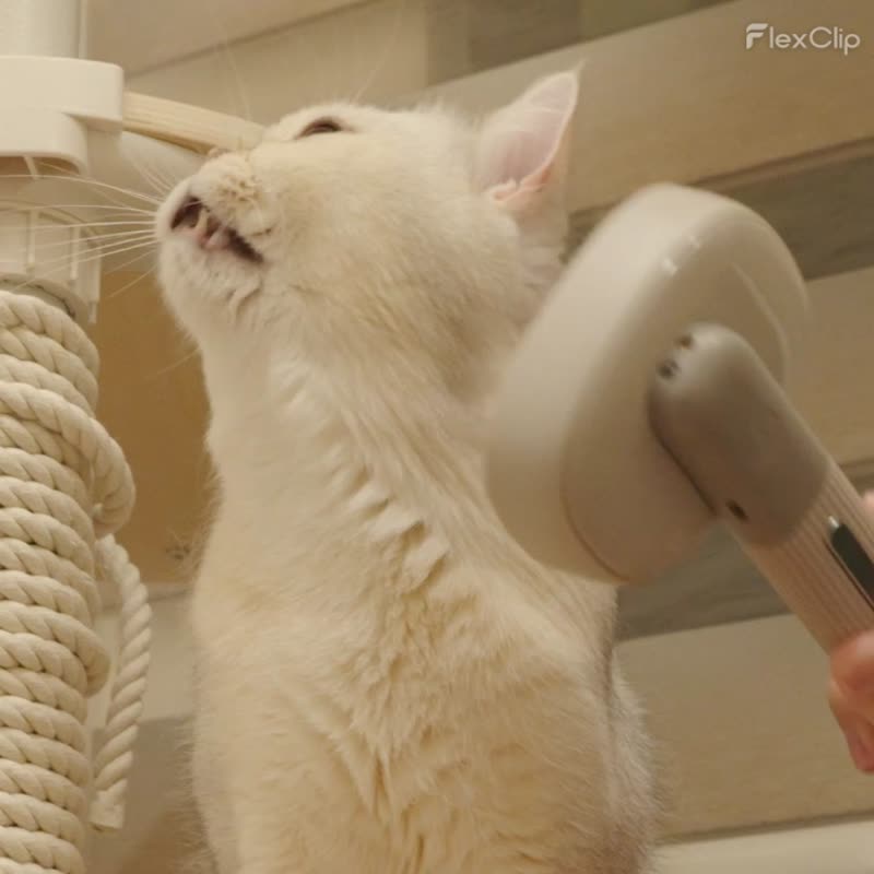 ROOMMI KIMOCHI 宠物负离子除毛梳 猫狗通用 - 玩具 - 塑料 白色
