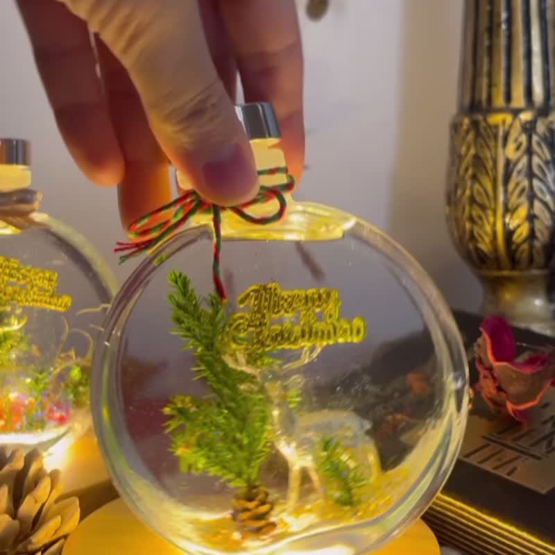 圣诞雪花浮游花体验课程 圣诞礼物 - 植栽 - 植物．花 