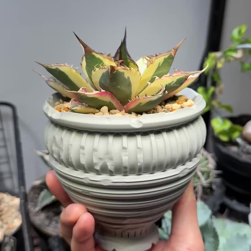 CBP010植木钵 原创设计/3D打印/多肉块根植物/盆器盆栽/送礼 - 植栽/盆栽 - 塑料 黑色