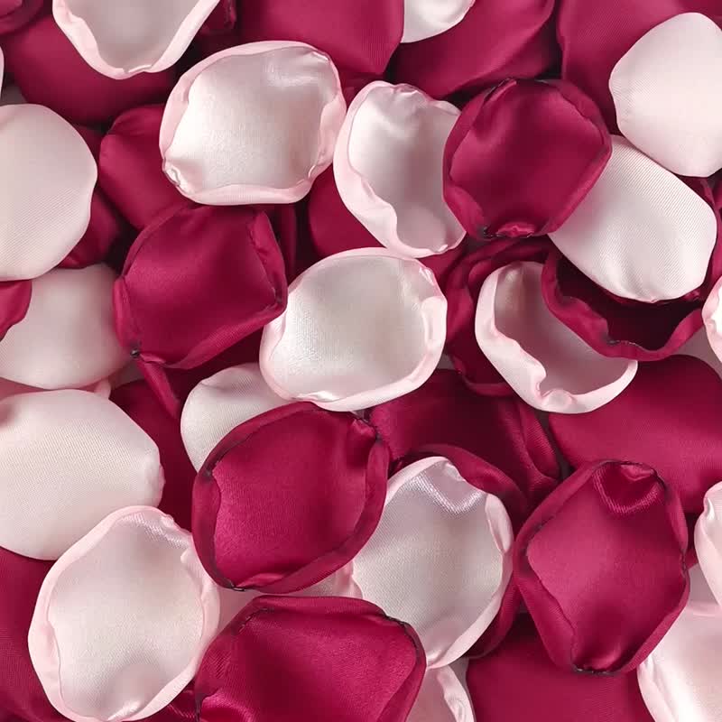 Burgundy blush pink petals Wine rose petals Blush flower petals Burgundy wedding - 干燥花/捧花 - 丝．绢 