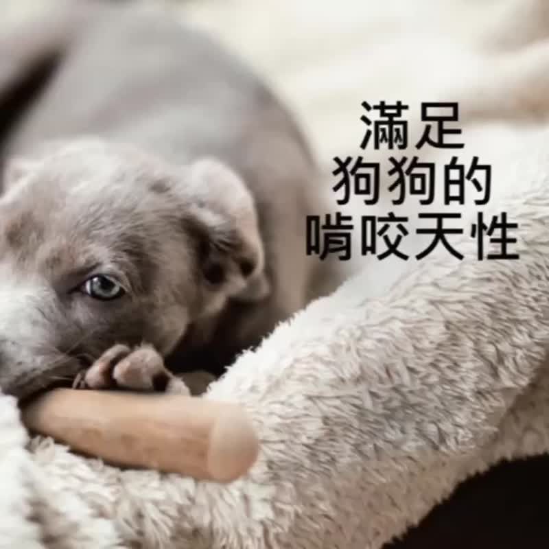 【狗玩具】CANOPHERA 天然咖啡木宠物咬咬棒 - 玩具 - 木头 卡其色