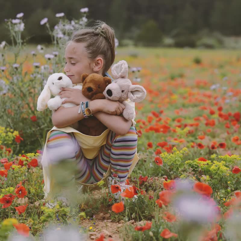 BON TON TOYS x WWF 老虎填充钥匙圈-咖啡 10cm - 钥匙链/钥匙包 - 环保材料 咖啡色