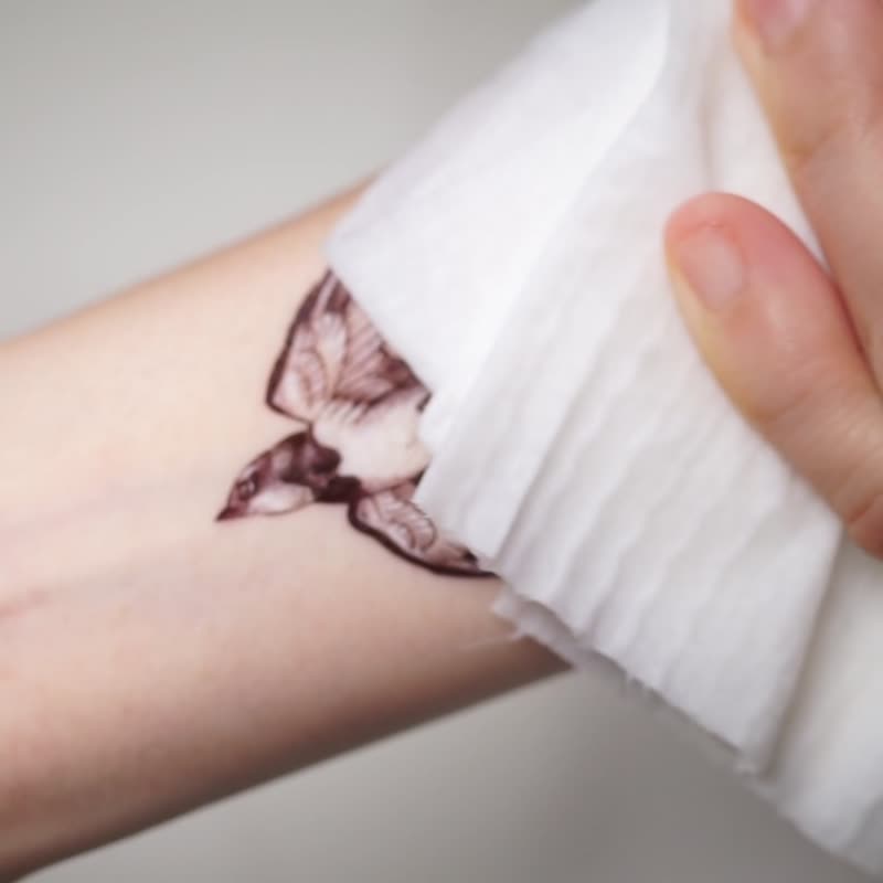 LAZY DUO手绘唯美水彩刺青纹身贴纸美式复古燕子雀鸟自由飞翔彩色 - 纹身贴 - 纸 多色