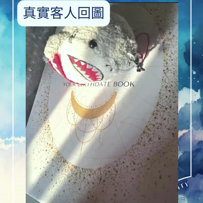 个人占星命书 专业占星师撰写150页 全客制化星座书 实体或电子版 - 刊物/书籍 - 纸 白色