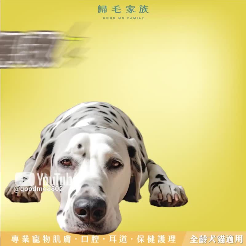 【归毛家族】Good宝系列宠物保健品－舒压宝1入组 - 其他 - 其他材质 