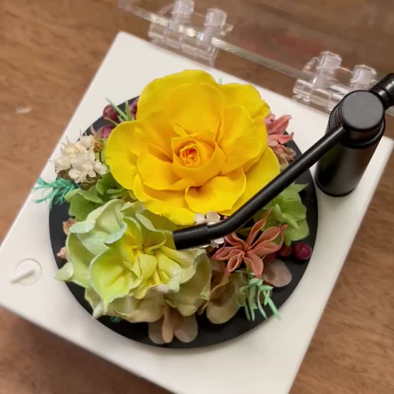 永生花 蓝牙音响播放器 黑胶造型 - 干燥花/捧花 - 植物．花 