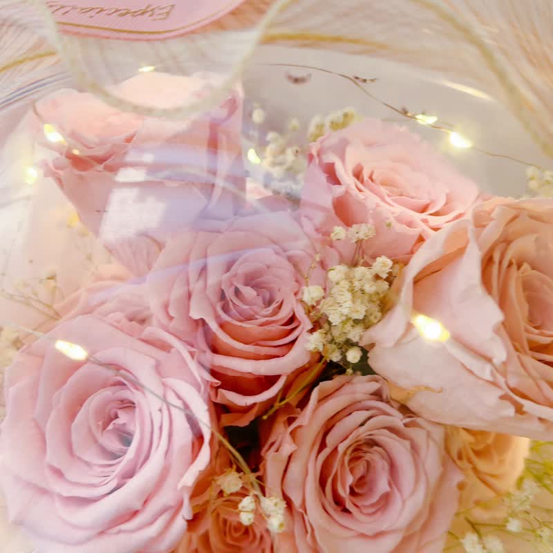 25 寸厄瓜多尔尔水晶球系列。情人节 开幕 永生花 祝贺 升迁 波波 - 干燥花/捧花 - 压克力 粉红色