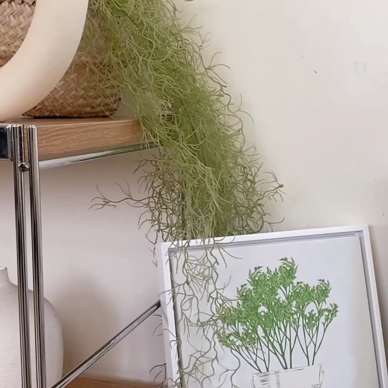 香料植物 • 鼠尾草 - 鼠尾草/挂画/香料/复制画/送礼/厨房装饰 - 海报/装饰画/版画 - 棉．麻 绿色