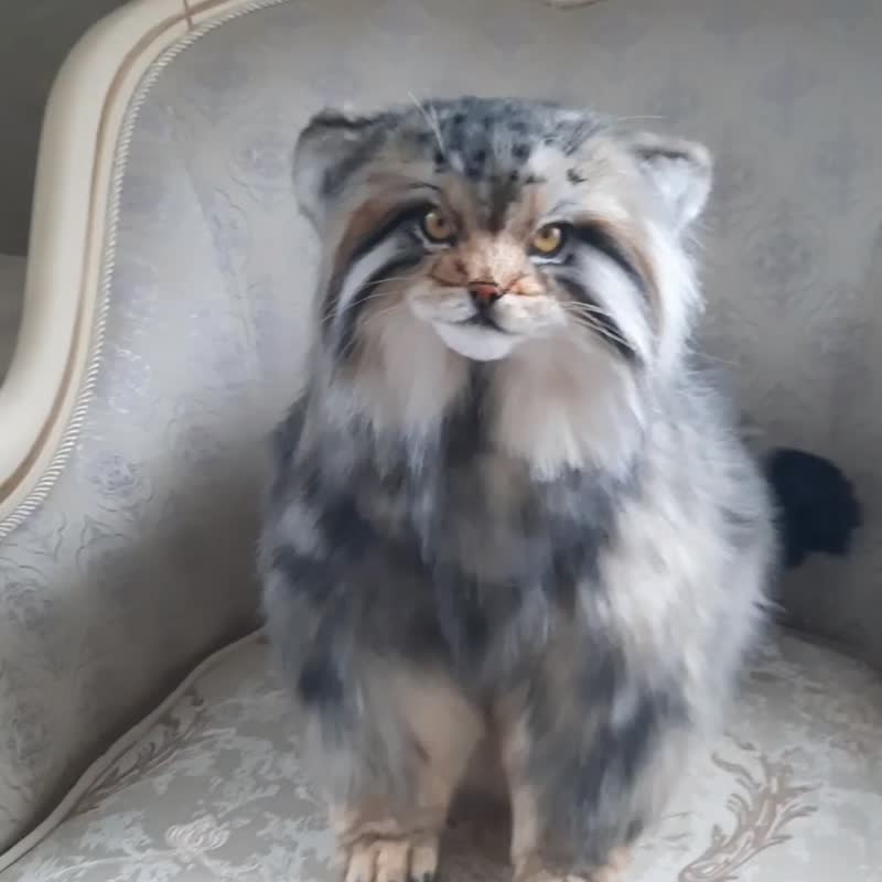 帕拉斯猫写实毛绒玩具 - 玩偶/公仔 - 其他材质 灰色