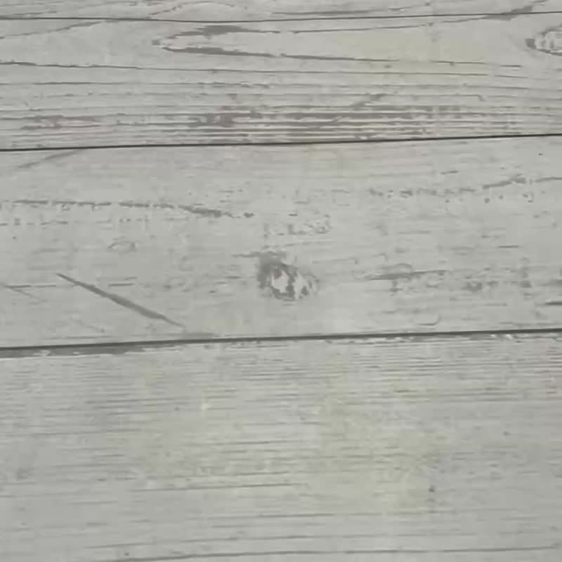 【70 Years of Miffy】米菲兔联名－真皮御守 吊饰 磁扣套材料包 - 钥匙链/钥匙包 - 真皮 多色