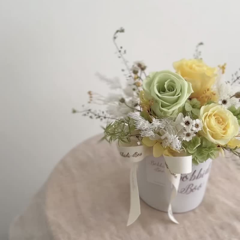 【永生玫瑰花盆花】• 情人节礼物/生日礼物/永生花/永生玫瑰花 - 干燥花/捧花 - 植物．花 绿色