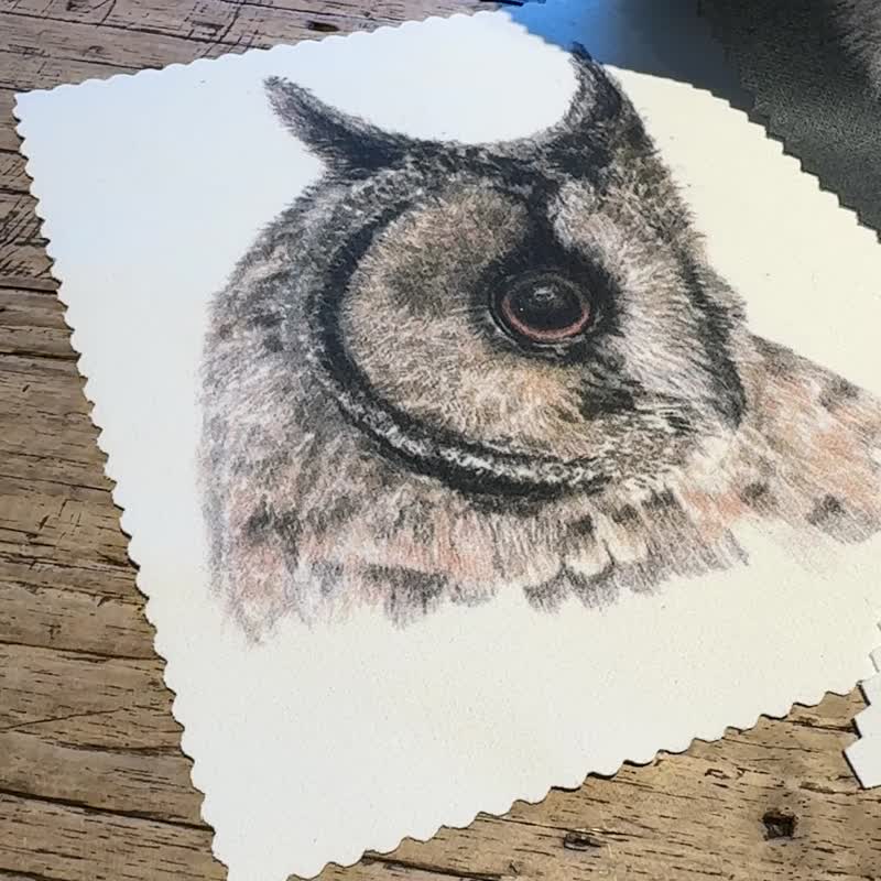 手绘 台湾 猫头鹰 麂皮 拭净布 眼镜布 3件组 - 眼镜盒/眼镜布 - 其他材质 白色