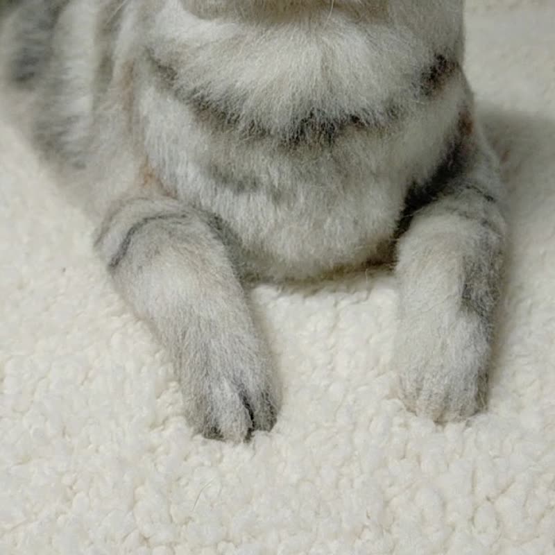 与我家孩子如出一辙订制羊毛毡毛刺作品 - 订制抱枕/饰品 - 羊毛 