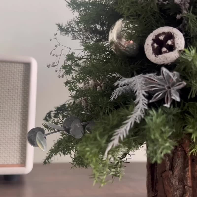 永生雪松 圣诞树【限自取/台中市亲送(请先联系设计师)】 - 干燥花/捧花 - 植物．花 多色