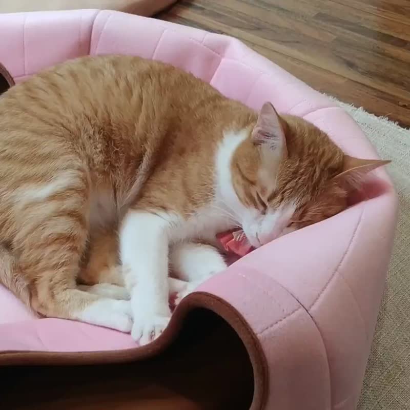 躲猫猫 - 隐密型猫窝 绅士蓝西装 两个洞口 - 床垫/笼子 - 其他人造纤维 蓝色