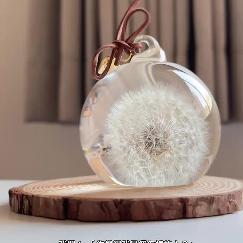 2026新品上市 友情の蒲公英之礼 - 植栽 - 玻璃 