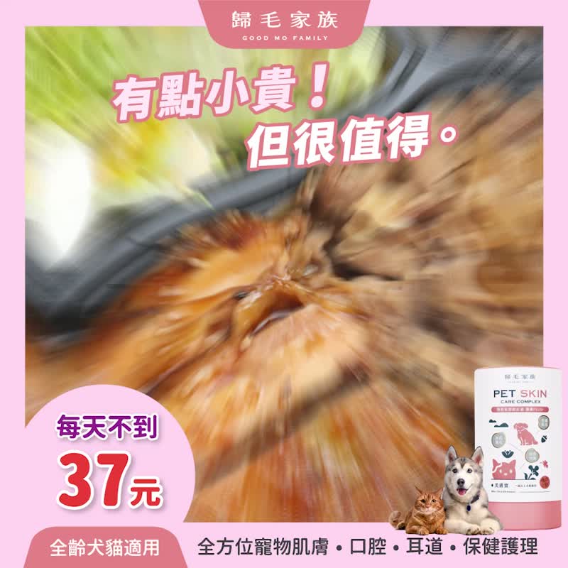 【归毛家族】Good宝系列宠物保健品－美肤宝2入组(二代升级) - 其他 - 其他材质 