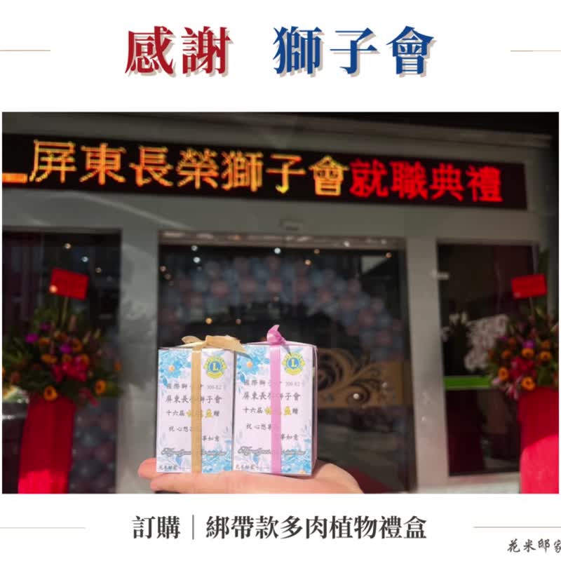 【花米邸家】多肉植物礼盒 婚礼小物 赠礼 多肉盆栽 亲送到府 - 植栽/盆栽 - 植物．花 绿色